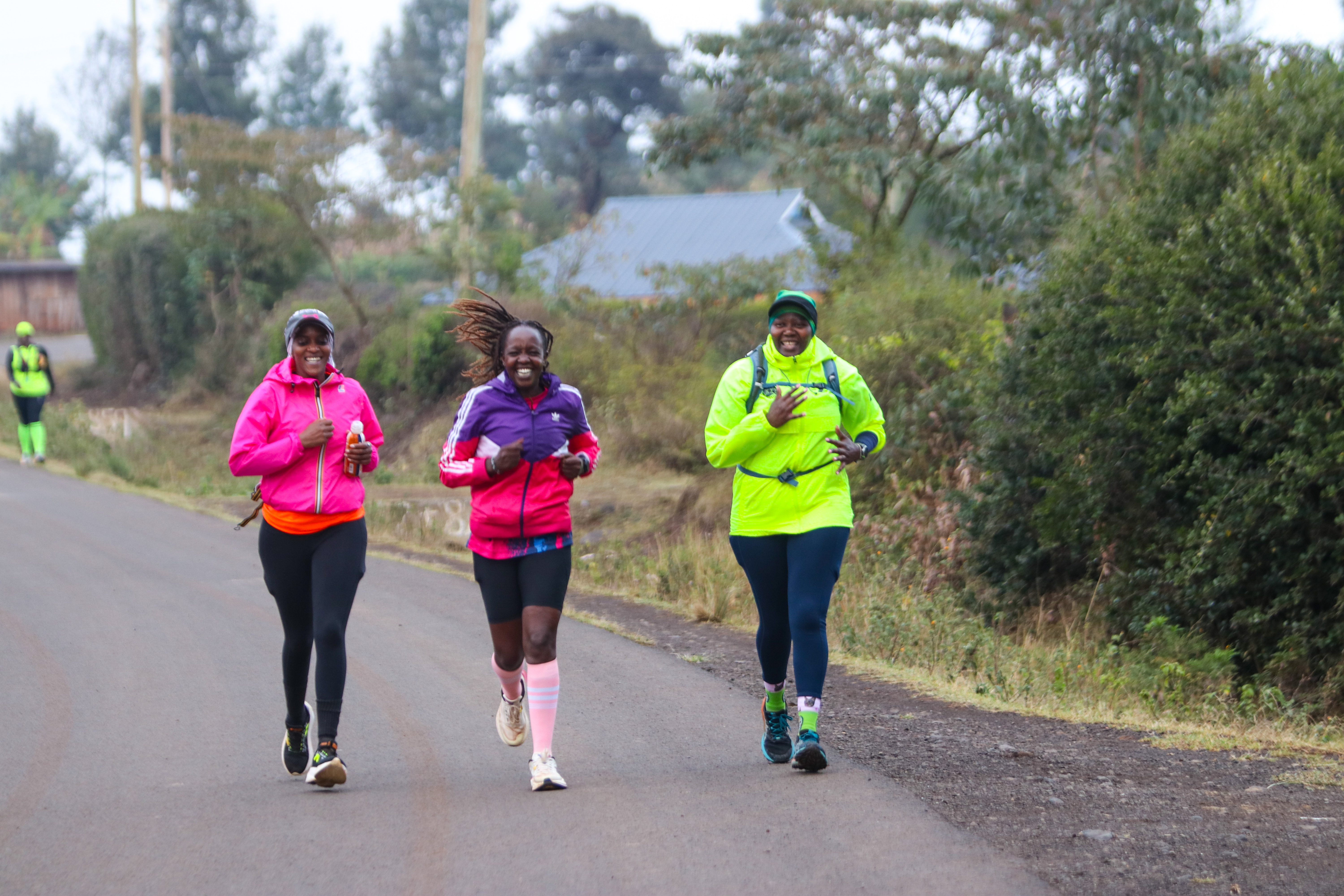 M2M 5th Edition - Mountain Views